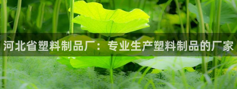 太陽集團(tuán)董事長是誰：河北省塑料制品廠：專業(yè)生產(chǎn)塑料制品的廠家