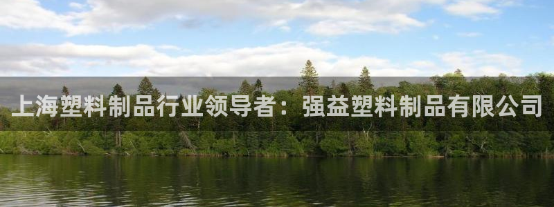 太陽(yáng)誠(chéng)集團(tuán)APP在線觀看：上海塑料制品行業(yè)領(lǐng)導(dǎo)者：強(qiáng)益塑料制