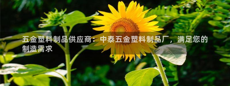 太陽(yáng)集團(tuán)下載鏈接：五金塑料制品供應(yīng)商：中泰五金塑料制品廠，滿