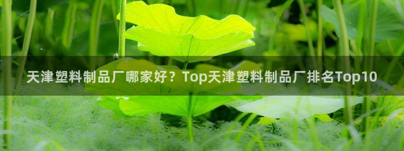 太陽軟件：天津塑料制品廠哪家好？Top天津塑料制品廠排名To