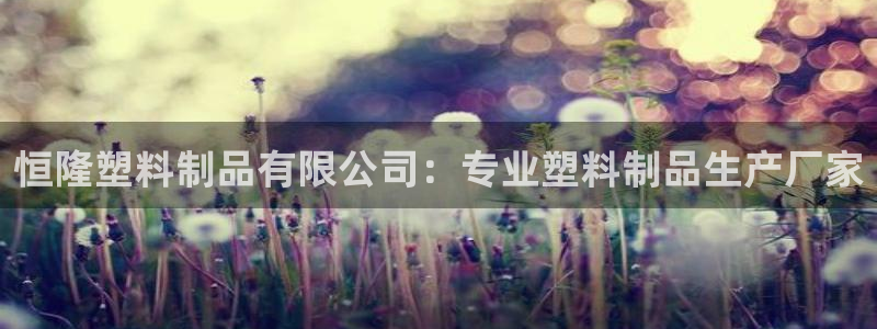 太陽誠集團(tuán)下載：恒隆塑料制品有限公司：專業(yè)塑料制品生產(chǎn)廠家