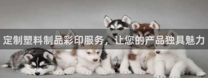 太陽集團(tuán)的法人代表：定制塑料制品彩印服務(wù)，讓您的產(chǎn)品獨(dú)具魅力