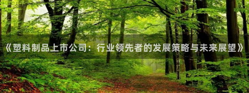 冷太陽(yáng)什么意思：《塑料制品上市公司：行業(yè)領(lǐng)先者的發(fā)展策略與未