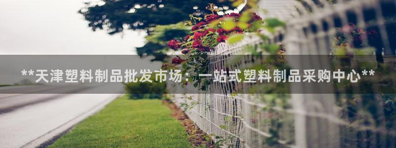 太陽2平臺網(wǎng)址：**天津塑料制品批發(fā)市場：一站式塑料制品采購