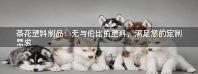太陽集團網(wǎng)站視頻：茶花塑料制品：無與倫比的塑料，滿足您的定制
