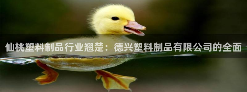 太陽集團(tuán)網(wǎng)站：仙桃塑料制品行業(yè)翹楚：德興塑料制品有限公司的全