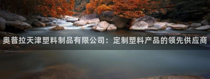 太陽(yáng)集團(tuán)是一家什么公司：奧普拉天津塑料制品有限公司：定制塑料
