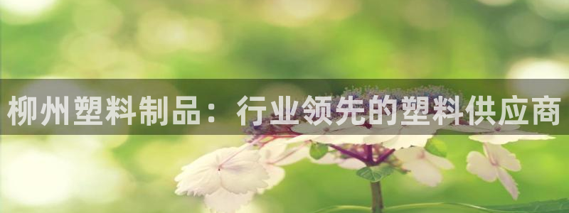 太陽集團(tuán)城登錄網(wǎng)址：柳州塑料制品：行業(yè)領(lǐng)先的塑料供應(yīng)商