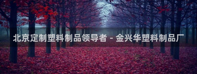 太陽集團(tuán)城網(wǎng)址娛網(wǎng)首頁：北京定制塑料制品領(lǐng)導(dǎo)者 - 金興華塑