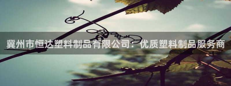 太陽成集團tyc234cc[主頁]振：冀州市恒達塑料制品有限