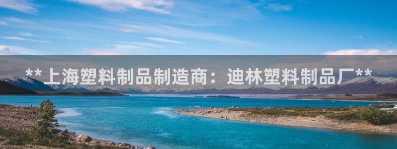 太陽(yáng)成集團(tuán)tyc234cc振興：**上海塑料制品制造商：迪林