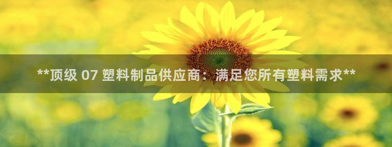 太陽誠集團電影：**頂級 07 塑料制品供應商：滿足您所有塑